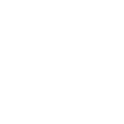 ZDGE logo