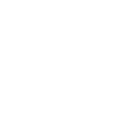 CVE.TO logo
