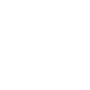 LI.V logo