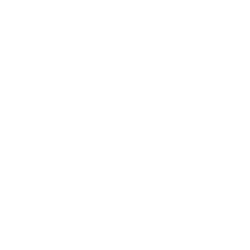 ROOT.TO logo